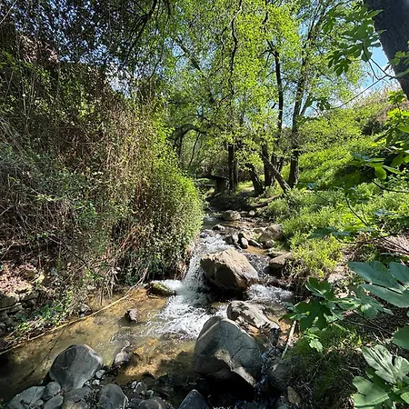 Faros Seabreeze 1b, Pool, Seaside, Апартаменты *